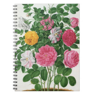 Vintage Blooming Flowers, Spring Garden Roses Notebook