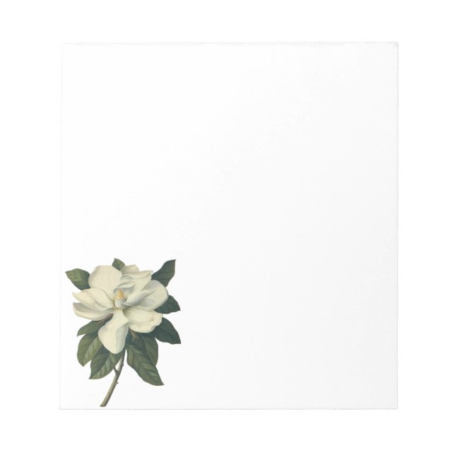 Vintage Blooming White Magnolia Blossom Flowers Notepad (Front)