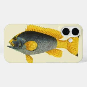 Vintage Blue and Yellow Grouper Fish, Marine Life iPhone 16 Case