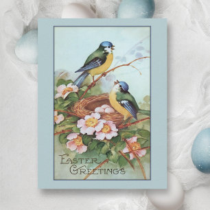 Vintage Blue Bird Easter Holiday Postcard