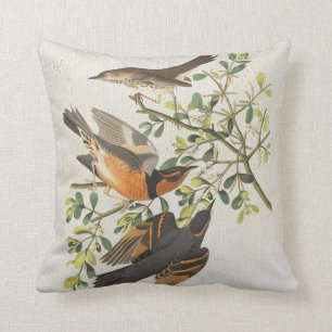 Vintage Blue Birds Birdwatching Lover Gift Cushion
