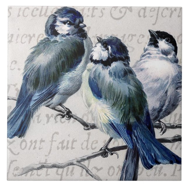 Vintage Blue Birds Collage - Customised Bluebirds Ceramic Tile (Front)