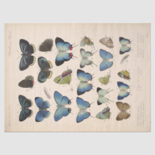 Vintage Blue Butterflies Ephemera Decoupage Teal T Tissue Paper
