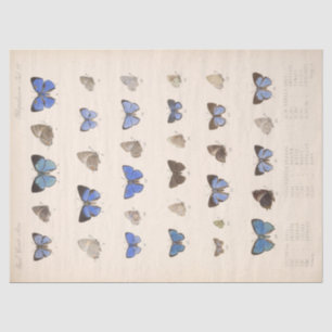 Vintage Blue Butterflies Ephemera Decoupage Teal Tissue Paper