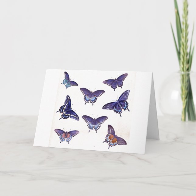 Vintage Blue Butterflies Illustration Art Card (Front)