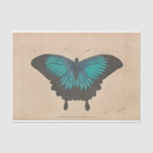 Vintage Blue Butterfly Ephemera Decoupage Teal Tissue Paper
