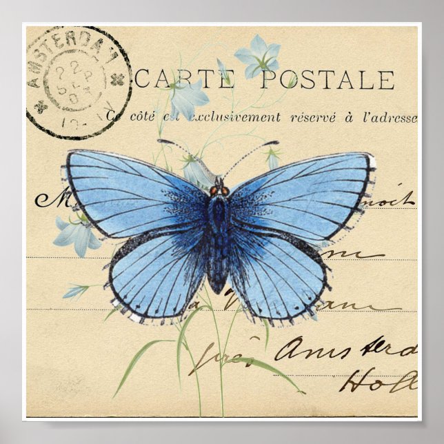 Vintage Blue Butterfly French Postcard Art Print (Front)