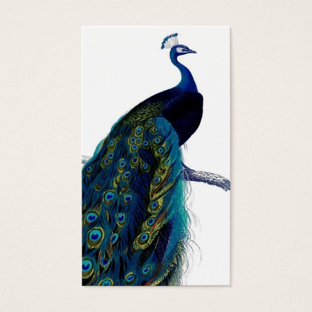 Vintage Blue Elegant Colourful Peacock (Front)