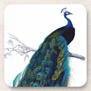 Vintage Blue Elegant Colourful Peacock Coaster