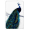Vintage Blue Elegant Colourful Peacock