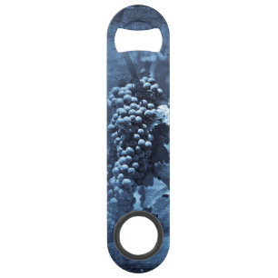 Vintage Blue Grapes Plaster