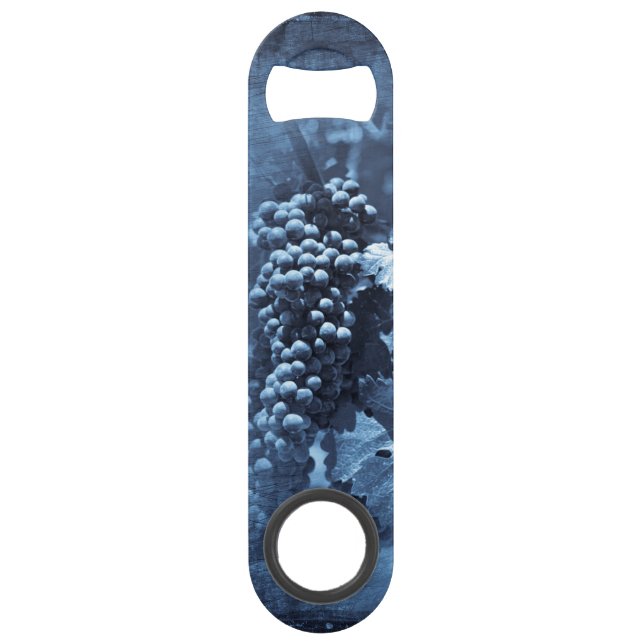 Vintage Blue Grapes Plaster (Front)