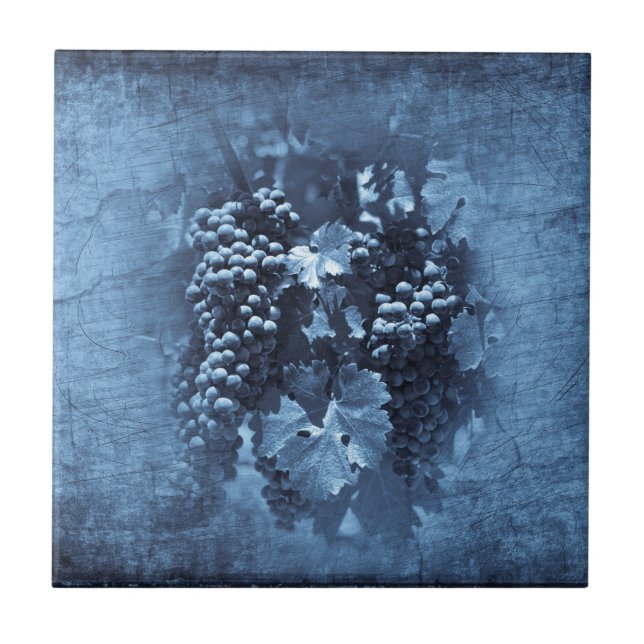 Vintage Blue Grapes Plaster Ceramic Tile (Front)