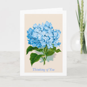 Vintage Blue Hydrangea Bloom Thinking of You Card