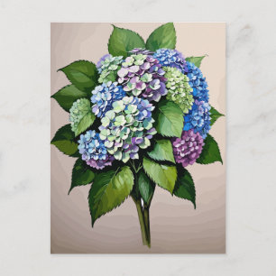 Vintage Blue Hydrangea Flower Postcard