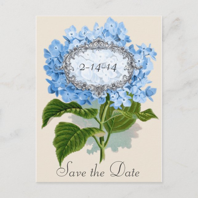 Vintage Blue Hydrangea Frame Save the Date Card (Front)