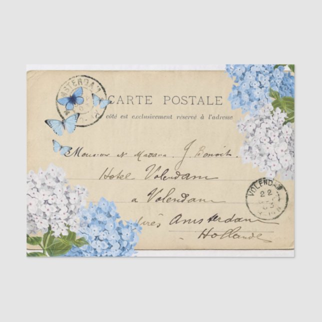 Vintage Blue Hydrangea Paris Postcard Tissue Paper (Front)