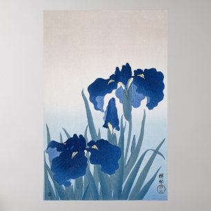 Vintage Blue Irises Painting by Ohara Koson  Poster