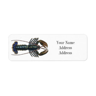 Vintage Blue Lobster Map Collage: Nautical Coastal Return Address Label