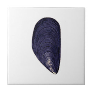 Vintage Blue Mussel Ceramic Tile