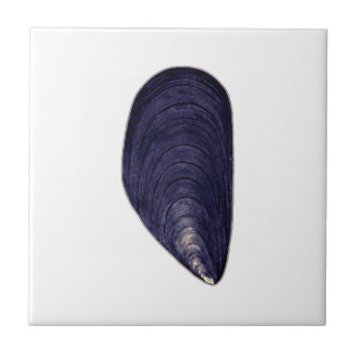Vintage Blue Mussel Ceramic Tile