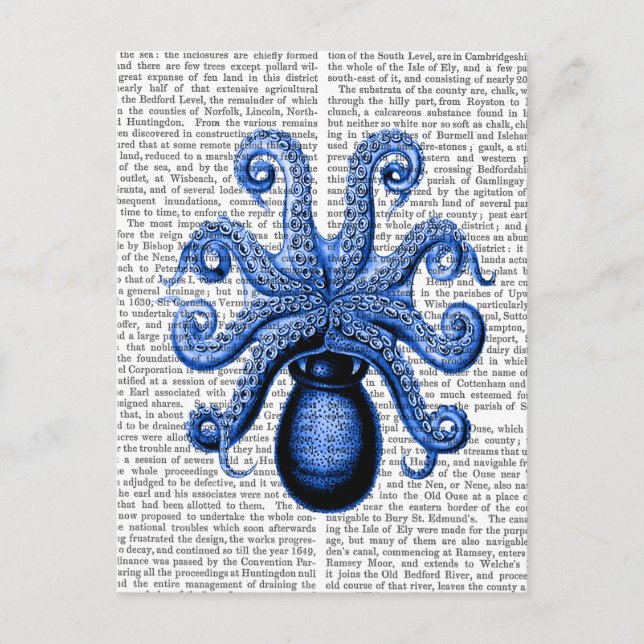 Vintage Blue Octopus 1 Underside Postcard (Front)