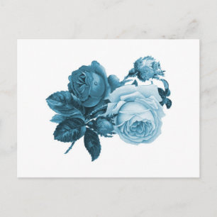 vintage blue rose gift postcard
