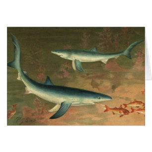Vintage Blue Shark Eating Fish, Marine Life