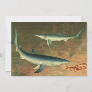 Vintage Blue Shark Eating Fish, Marine Life