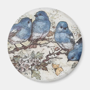 Vintage bluebird illustration cute birds nature  magnet