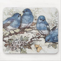 Vintage bluebird illustration cute birds nature