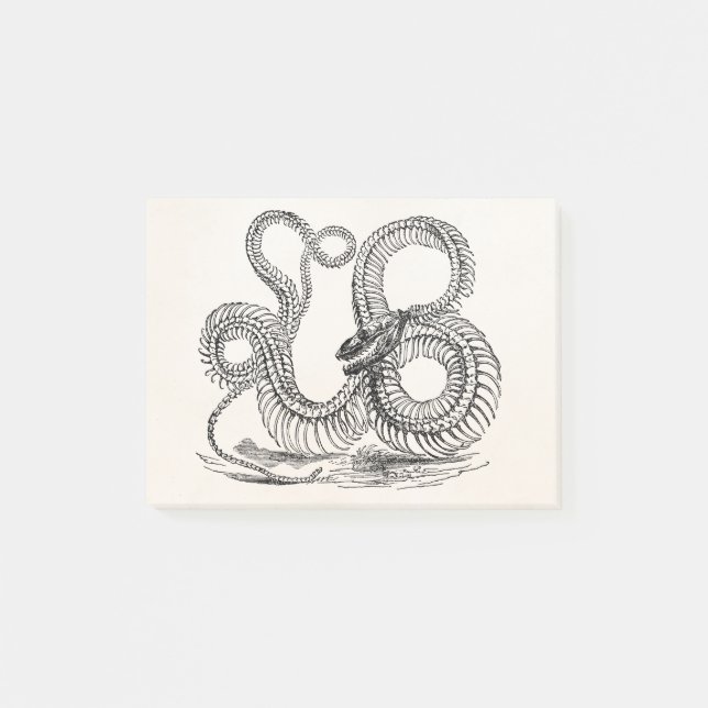 Vintage Boa Snake Skeleton Personalised Template Post-it Notes (Front)