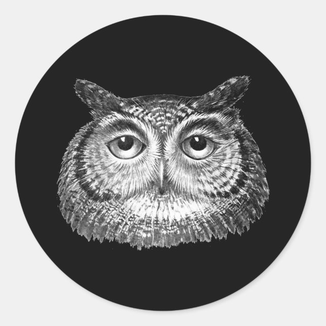 Vintage Boho Owl Design Classic Round Sticker (Front)