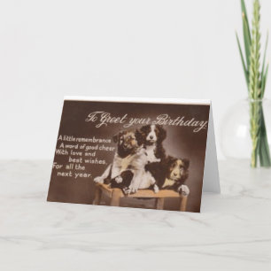 Vintage Border Collie Birthday Card