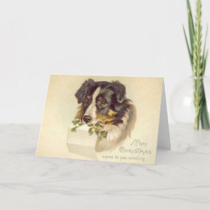 Vintage Border Collie Christmas Card