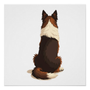 Vintage Border Collie From Behind Dog Illustration Poster