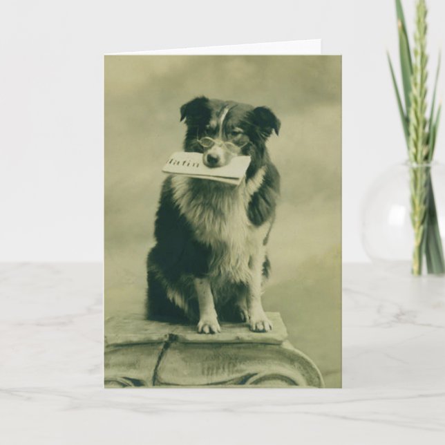 Vintage Border Collie Greeting Card (Front)