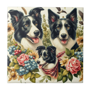 Vintage Border Collie Illustration Ceramic Tile