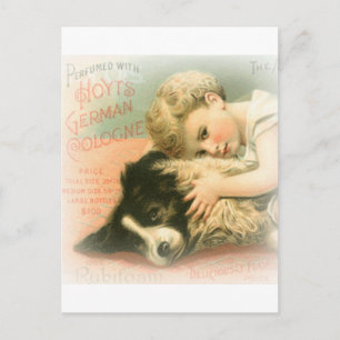 Vintage Border Collie Postcard