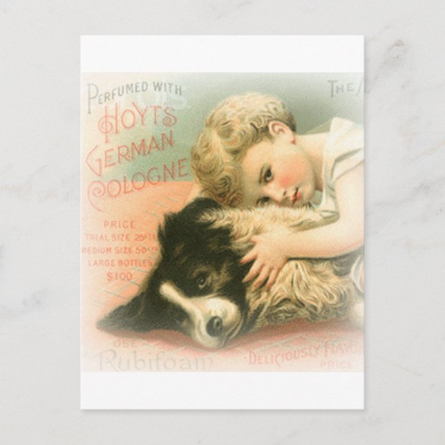 Vintage Border Collie Postcard (Front)