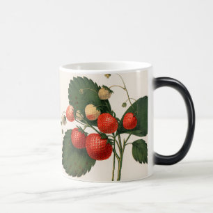 Vintage Boston Pine Strawberry Magic Mug