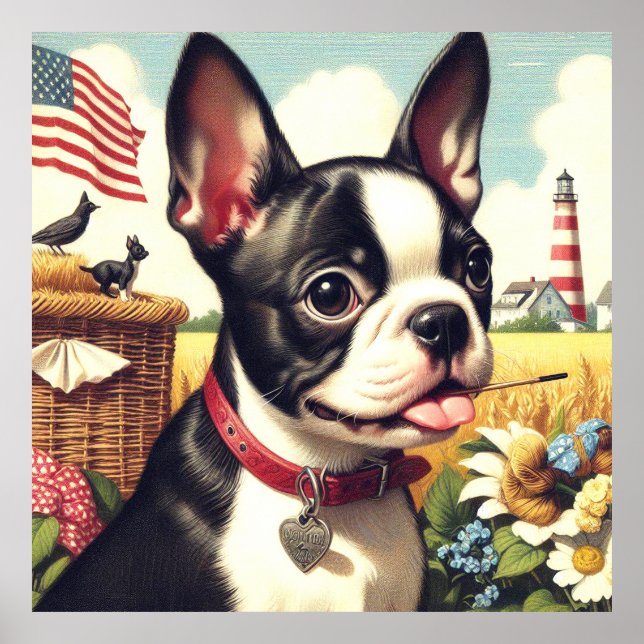 Vintage Boston Terrier Illustration Poster (Front)