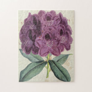 Vintage Botanical Amilear Rhododendron Jigsaw Puzzle