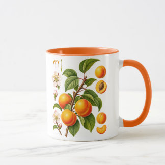 Vintage Botanical Apricot Illustration Mug