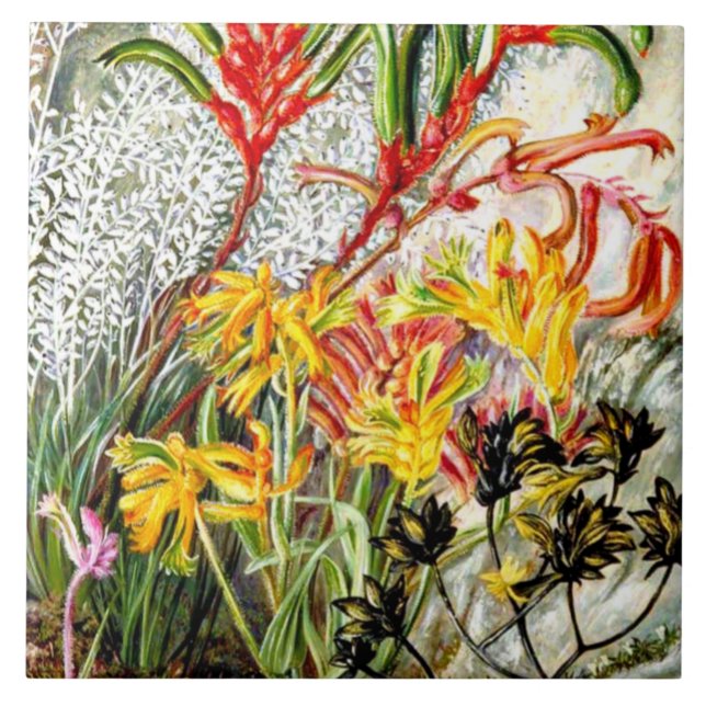 Vintage botanical art, West Australian flowers Ceramic Tile (Front)