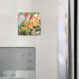 Vintage botanical art, West Australian flowers Magnet