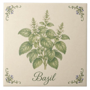 Vintage Botanical Basil Herb Kitchen Garden Ceramic Tile