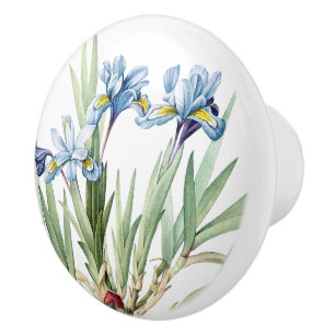 Vintage Botanical Blue Iris Flowers Floral Knob