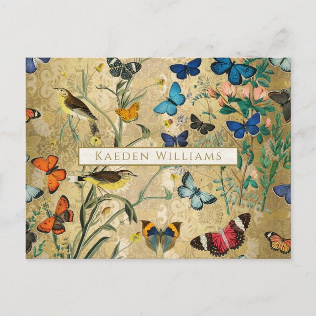 Vintage Botanical Butterflies and Birds Postcard (Front)