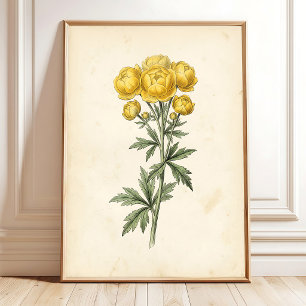 Vintage Botanical Canvas Wall Art Print